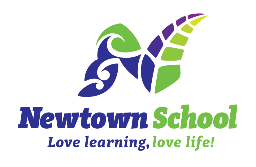 the-newtown-school-wysiwyg-communications